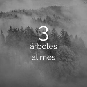 Micro Empresa (1-10 empleados)