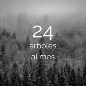Gran Empresa (250+ empleados)